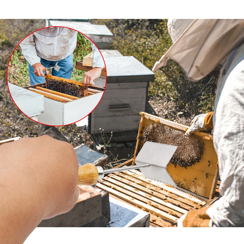 Description Picture 5 of item1Pcs Honeycomb Cleaning Shovel Queen Excluder Shovel Beekeeper Scraper Nest Frame Bee Hives Supplies Beekeeping Tools