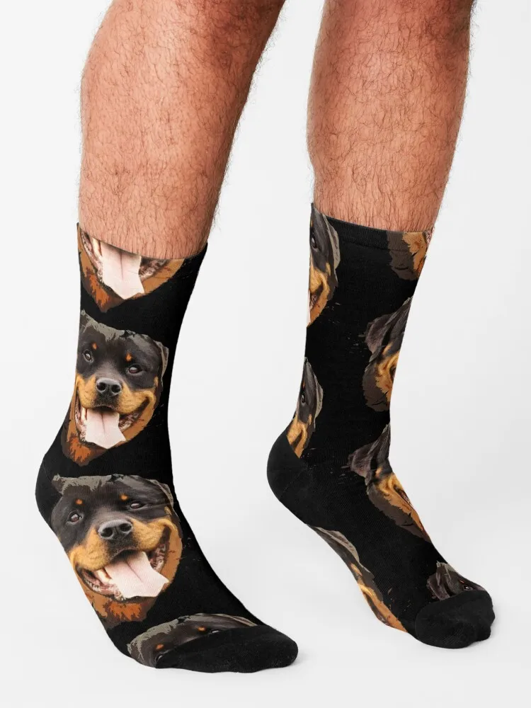 Рисунок 3 - Ротвейлер, носки для регби