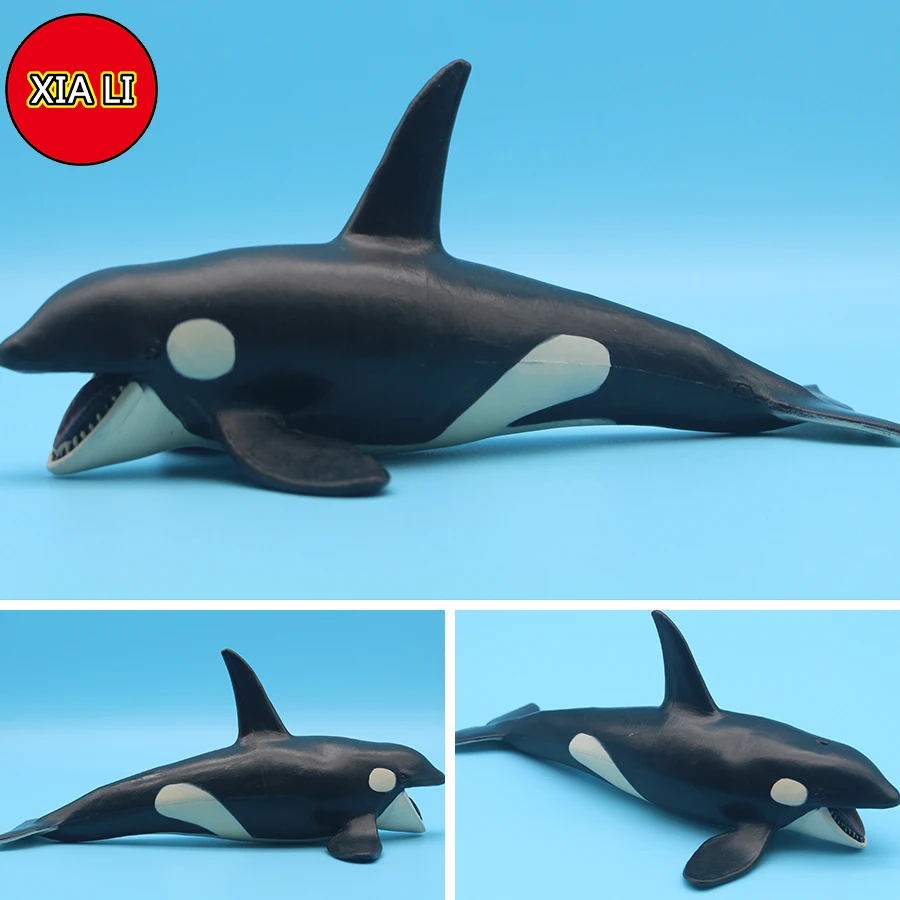 Modello Di Balena Killer In PVC Realistica | Giocattolo Educativo Per Bambini | Decorazione Casa | Dimensioni Compatte - 3