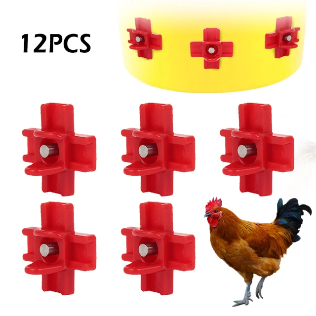 Pollo automatico abbeveratoio galline uccelli di quaglia bere ciotole acqua  pollaio pulcino capezzolo bevitori pollame per le forniture di animali -  AliExpress