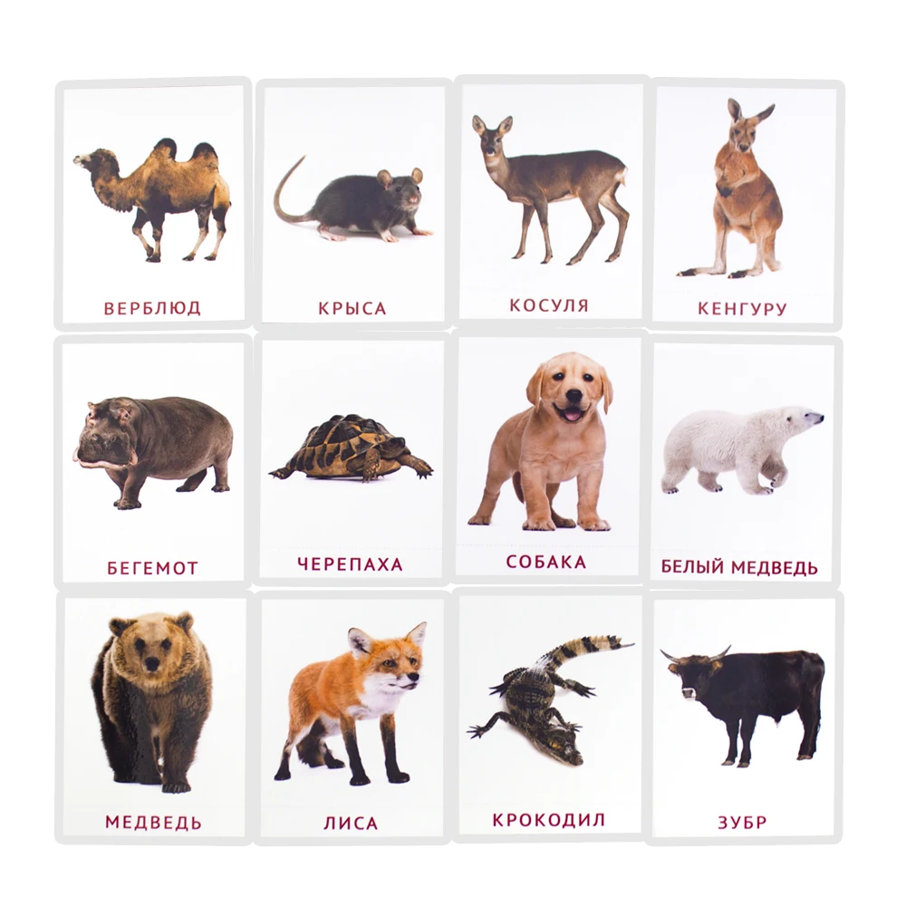 Russian Animals Words Card for Baby 2-6 Years old Enlightenment Teaching tools Montessori Learning Education Cognitive Flashcard 3