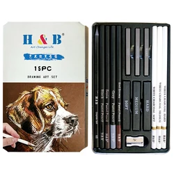 Deluxe 15 - Piece Art Supplies Set with White Charcoal and Pastel Pencils - Professional Drawing and Painting Tools (New)