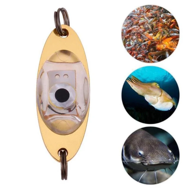 1pc LED Fish Lamp Mini Fishing Lure Light LED Deep Drop Underwater Eye  Shape Fishing Squid Fishing Bait Luminous Lure - AliExpress