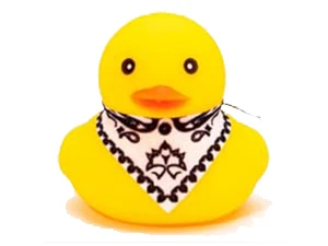 duck