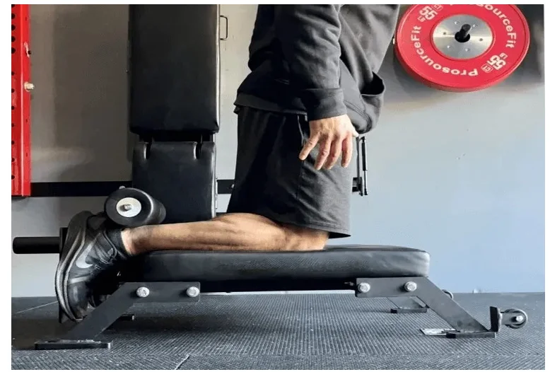 Modern Adjustable Nordic Curl Bench-Glute Ham Developer for Floor Exercise and Nordic Training