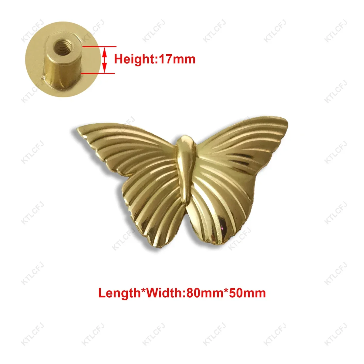Butterfly4