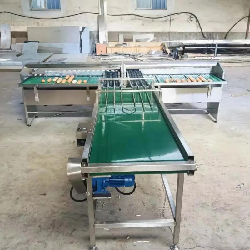 FOODLINE Macchina Selezionatrice e Pesatrice per Uova - immagine 2