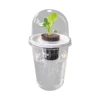 Plastic hydroponic seed planting pot - transparent and durable gardening seedling cup - reusable cup for observing plant roots 6