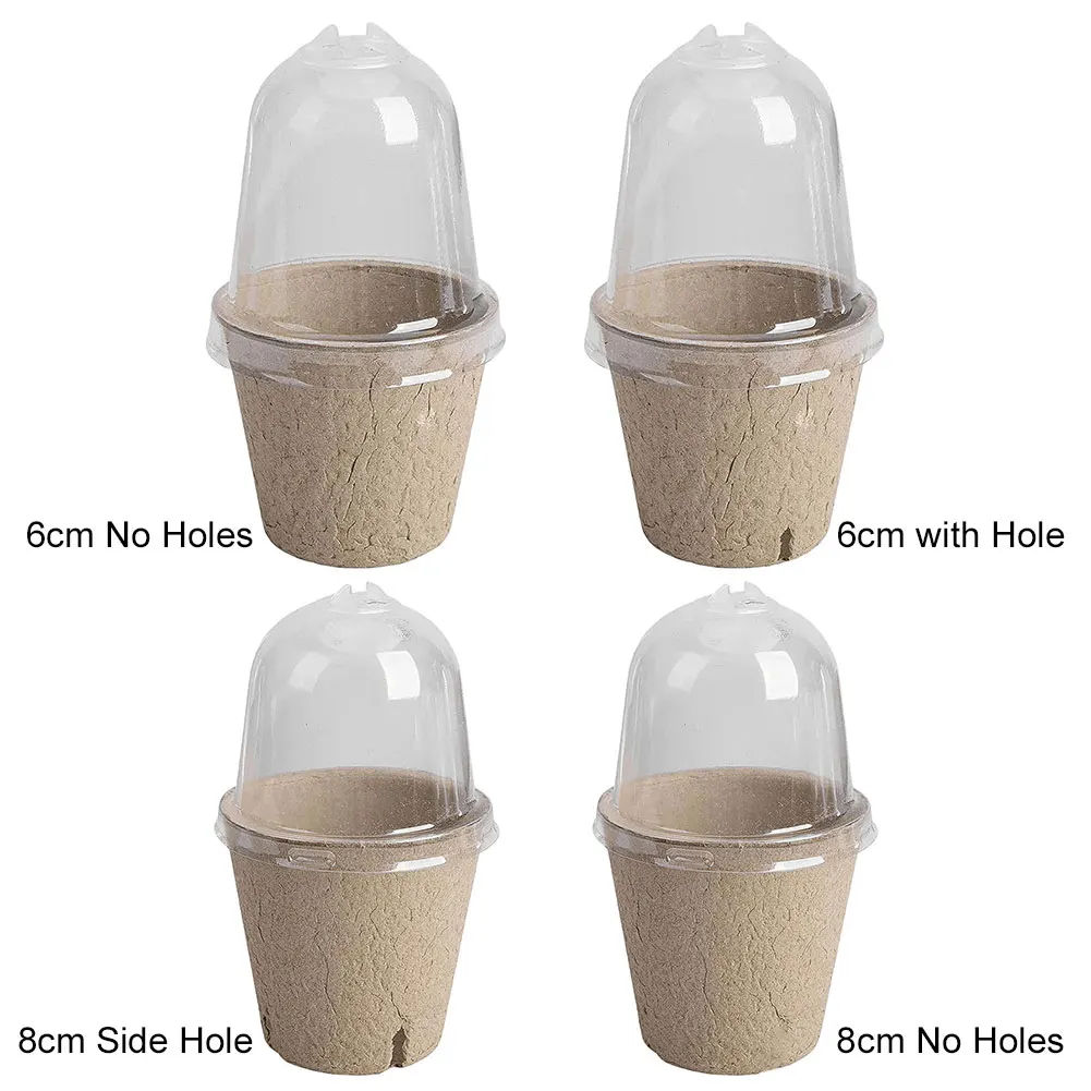 Seedling Box 10Pcs Transparent Lid Biodegradable Plant Growing Cup