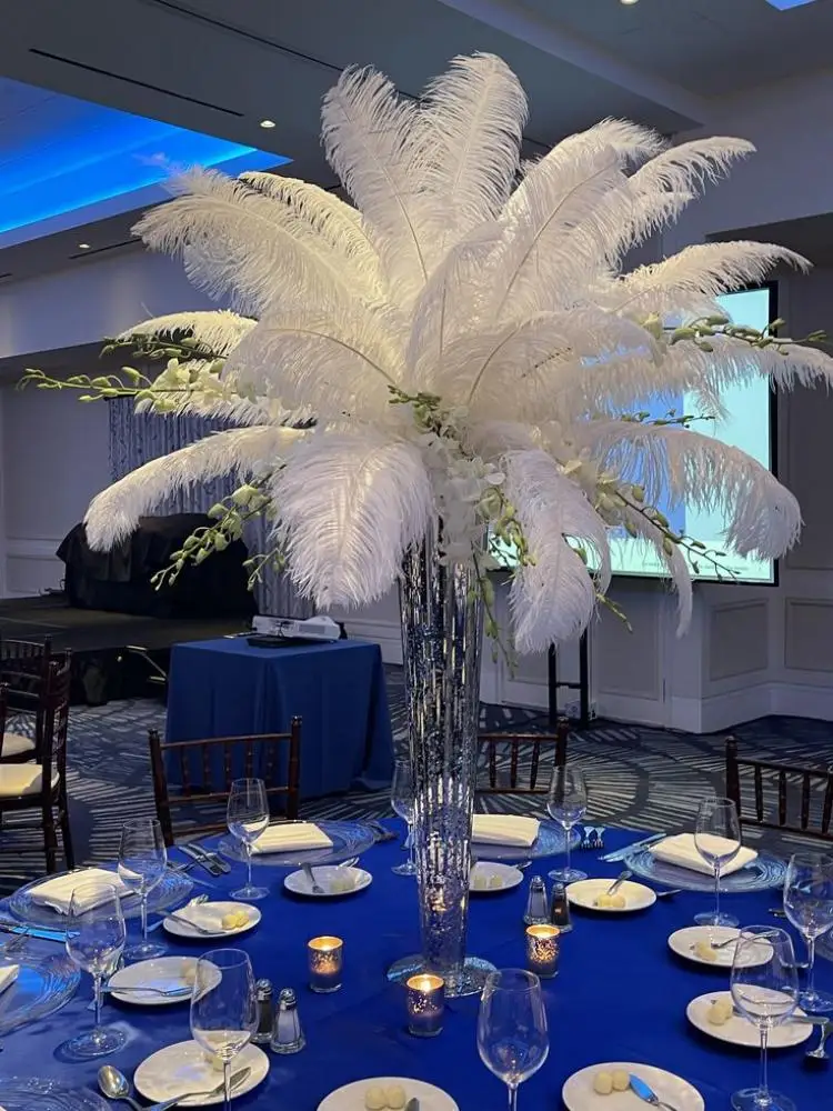 15-60cm Natural Ostrich Feathers Craft Feathers Natural Feathers for DIY Wedding Party Stage Costume & Home Decor