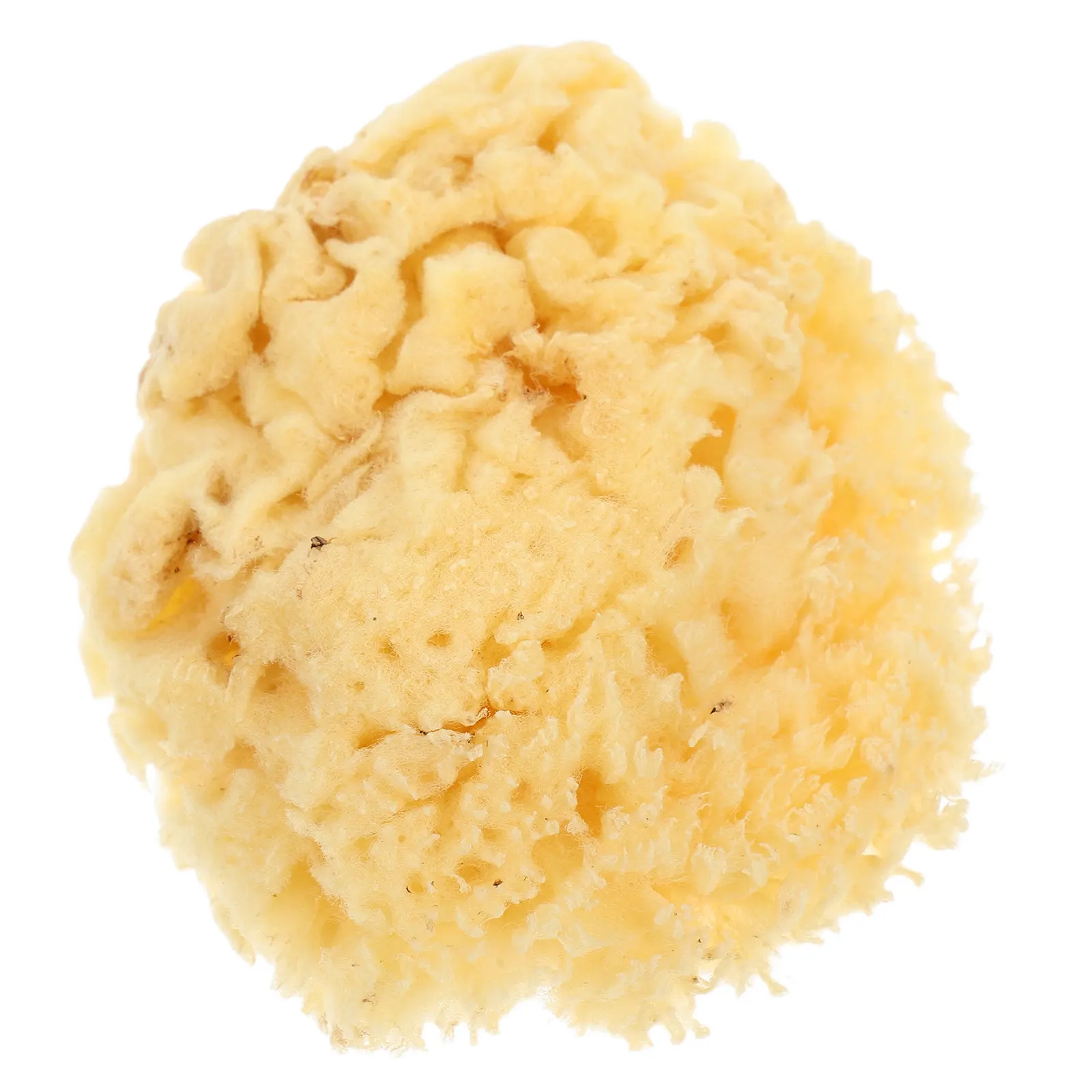 천연 바다 스펀지 부드럽고 잡기 쉬운 다기능 수채화 도구 2.0-2.5인치 흡수력 좋은 아티스트 스펀지 DIY용