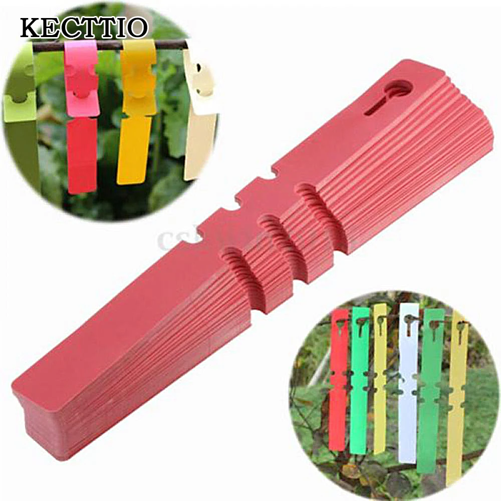 100 pcs Gardening PVC Tags Kindergarten Plant Tied Tag Markers Plastic Blank Display Seed Label Plant Pot Number Tree Ornament