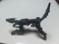 Black dog