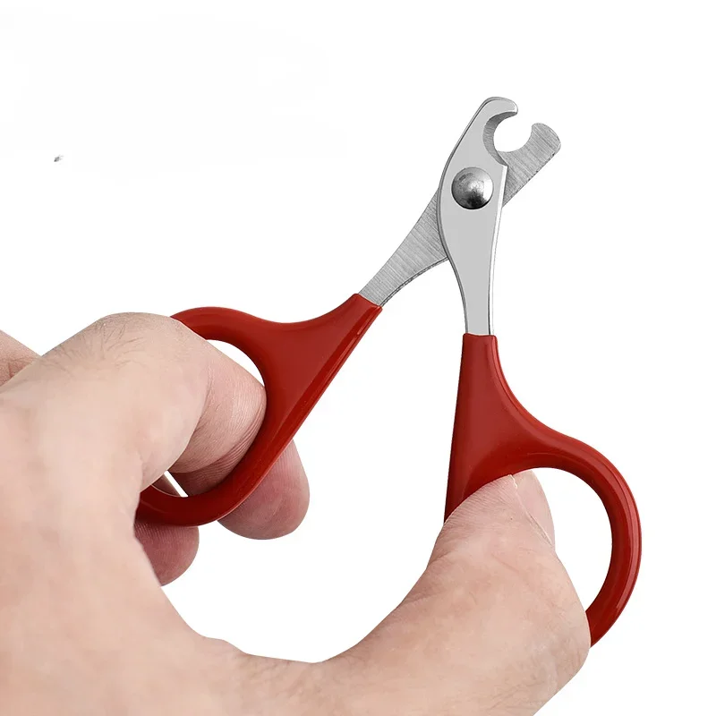 Description Picture 2 of itemProfessional Pet Nails Scissors Trimmer for Small Dog Cat Puppy, Cat Nail Clippers, Grooming and Care Accessories