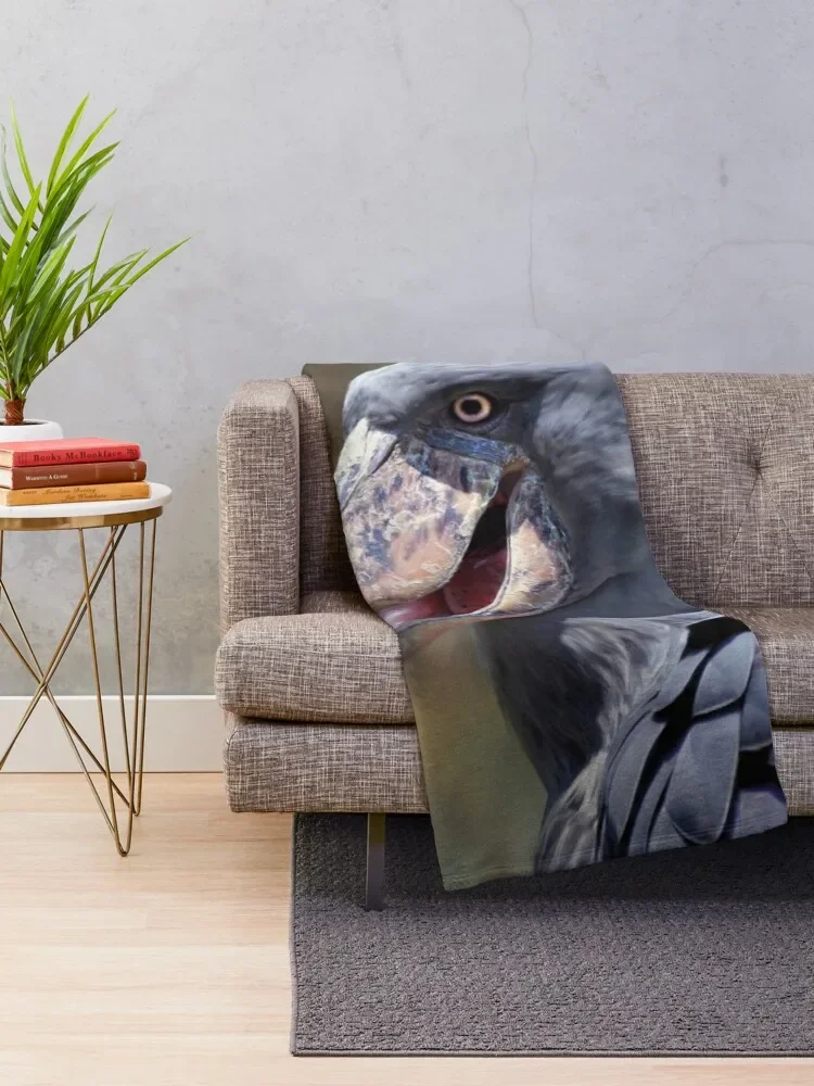 ShoeBill ������ ���, �м� ����, ���� ħ�� ���