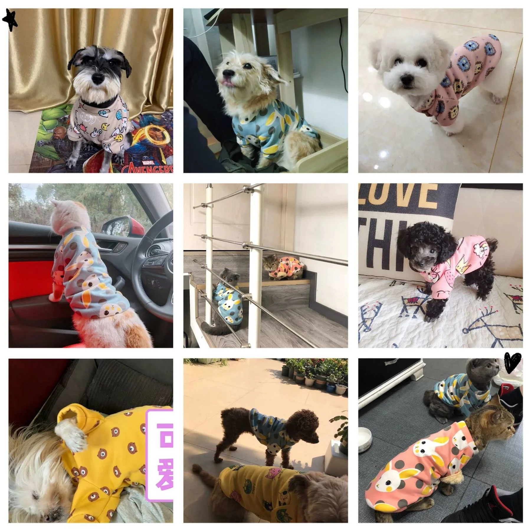Small Dogs Hoodies T-shirt winter Print clothes Pet Costume for Small Medium dogs cats Puppy pug chihuahua schnauzer XS-XL pet clothes