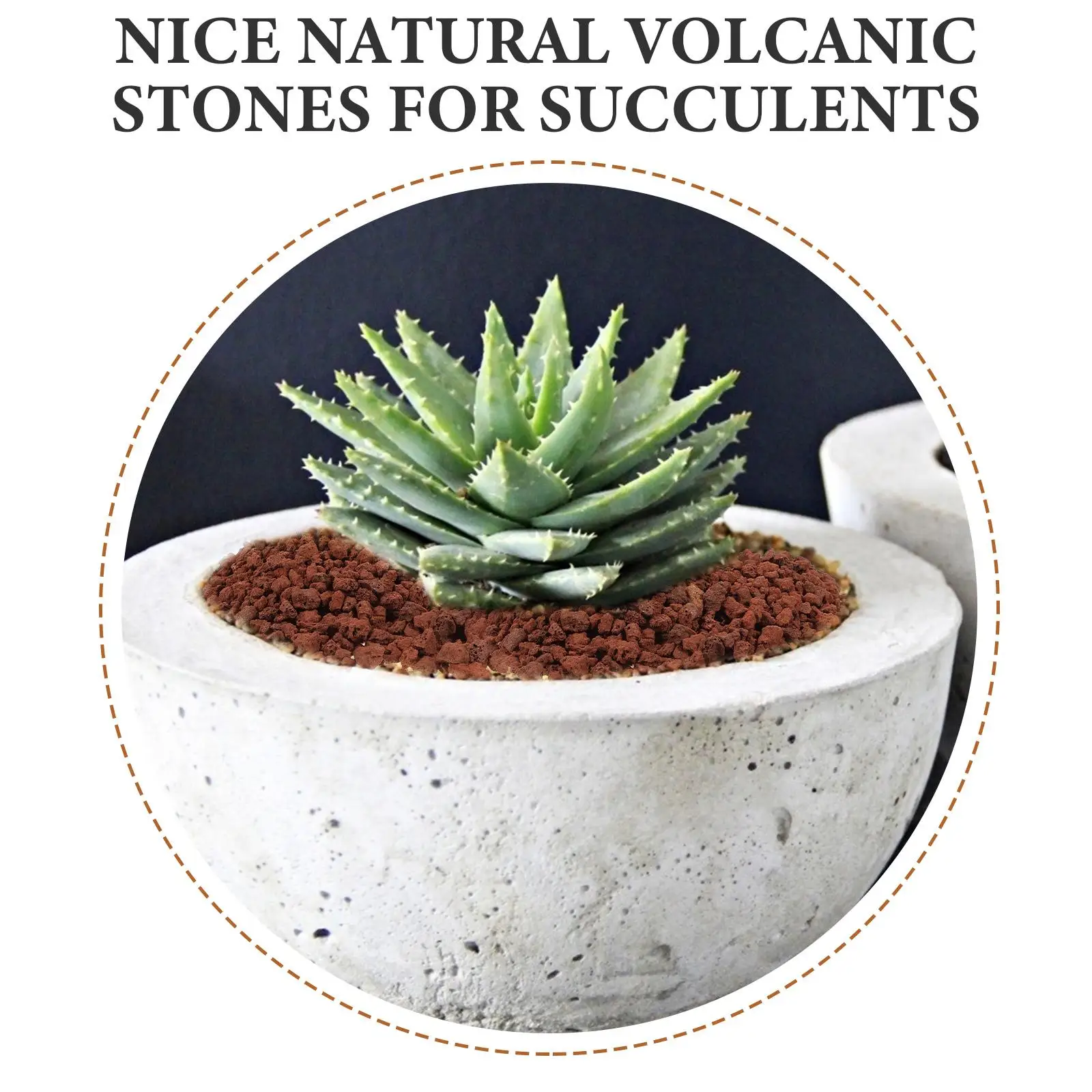 5 Bags Landscaping Volcanic Rock Dirt for Plants Indoor Fish Tank Supplies Flower Pot Stone Decorative Natural Potted Craft