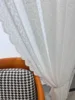 1PC Warp Knitted Starry Sky Modern Minimalist Window Screen Princess Curtain Princess Lace Screen 5