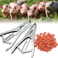 Animals Sheep Tail Castration Forceps Expansion Clamp Elasticity Rubber Castration Rings Farm Animal Bloodless Tail Pliers 1
