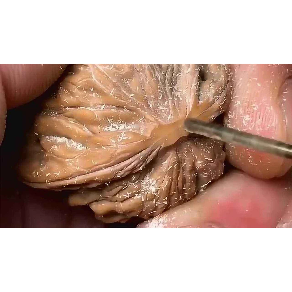 

1 шт., сверло из быстрорежущей стали, 0,8-50 мм, 2,35 мм