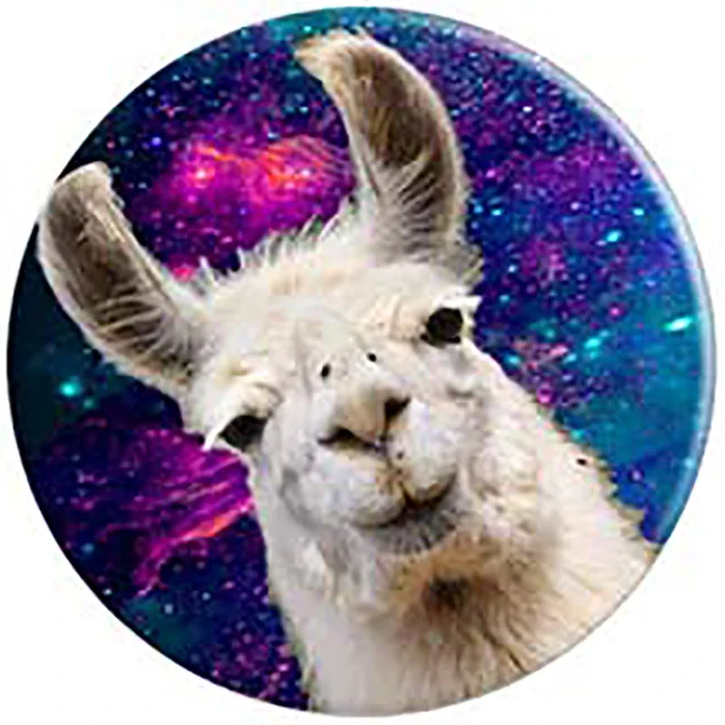 حامل لوحة قوس الهاتف المحمول العالمي ، مقبس الهاتف...