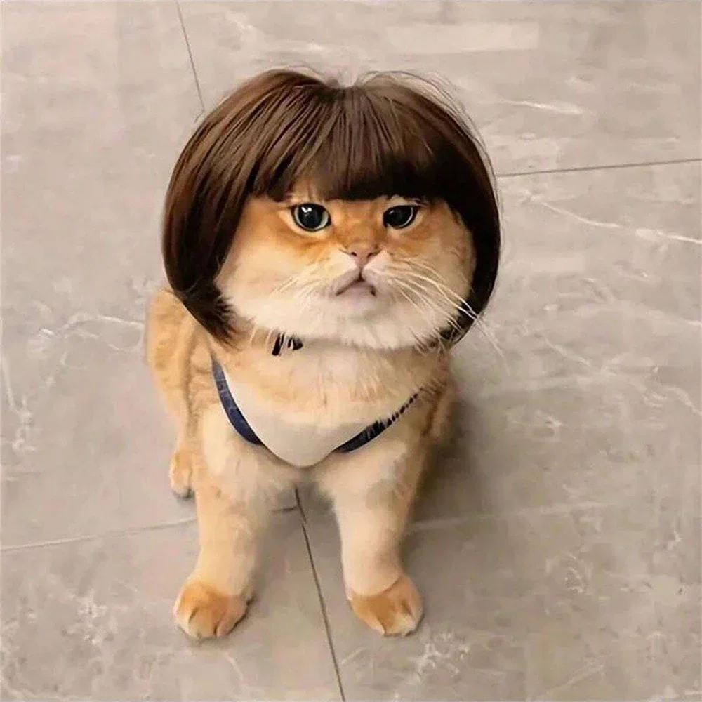 Pet Wig Pet Accessories Halloowen Christmas Supplies