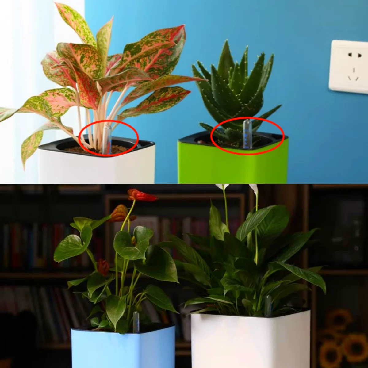 Indoor Plants Water Level Indicator Hydroponic Plant Meter Buoy Water Shortage Reminder Display Plug Potted Moisture Gauge Tools 6