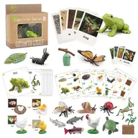 1 Box Animal And Plant Growth Cycle Examples Children Toy Insect Models Montessori Learning Aids 1