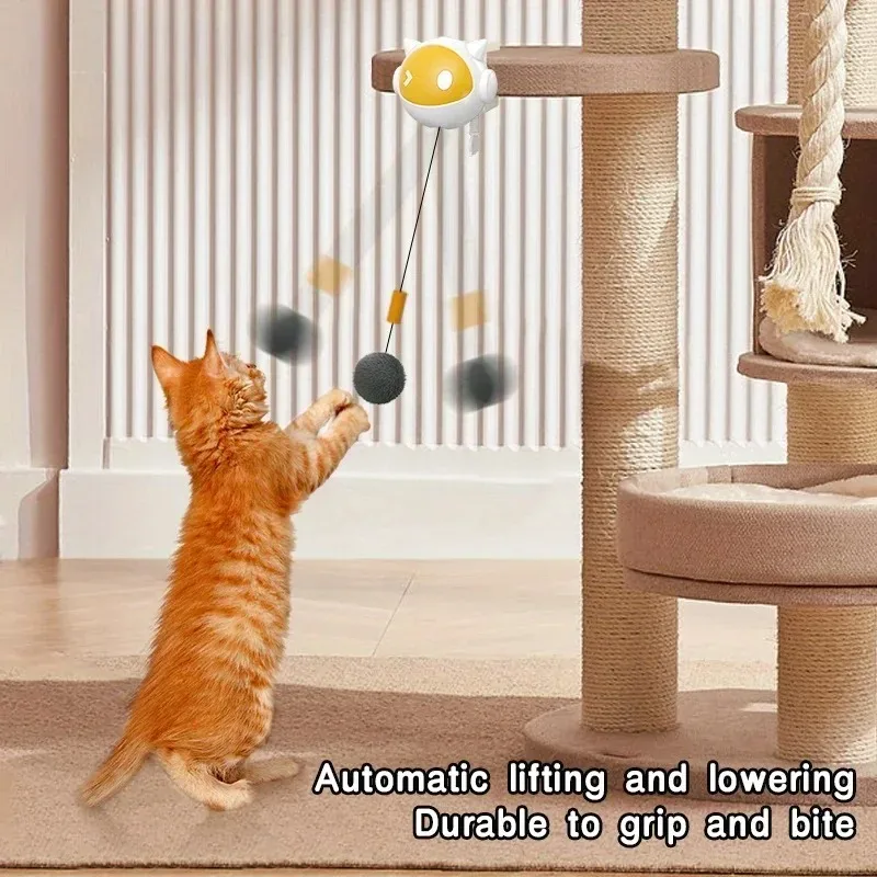 Interactive Automatic Pet Toy Ball-Self-Bouncing Motion with LED Lights,USB Rechargeable Fun Activity Ball for Cats & Small Dogs