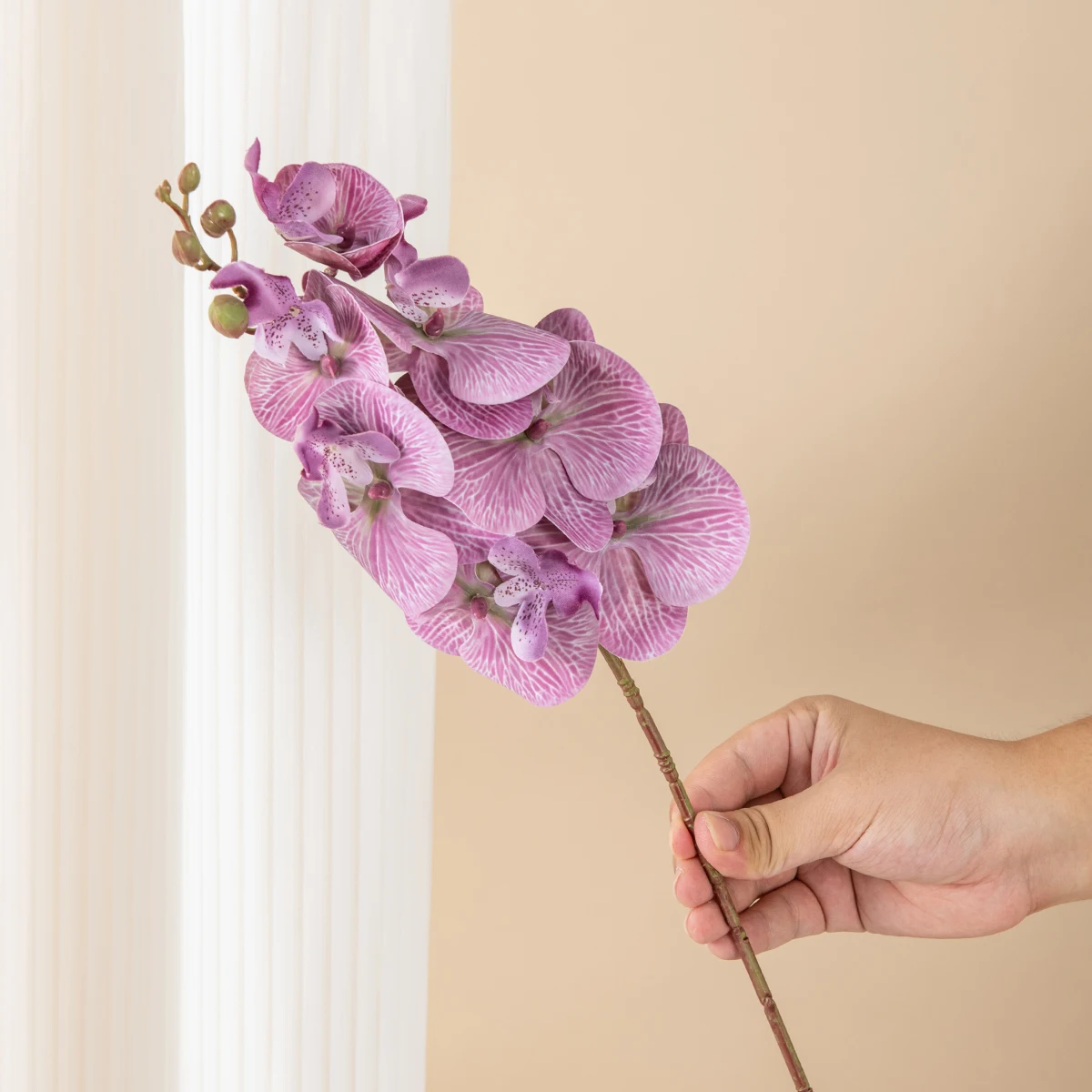 Slide image undefined