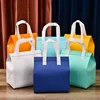 StoBag 10pcs Non-woven Insulation Lunch Bags Keep Food Warm Cold Tote Portable Fabric for Cake Drinks Packaging Delivery Pouch 2