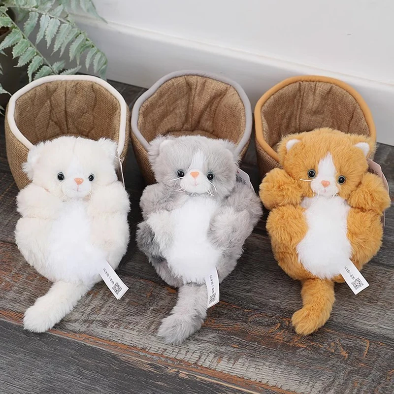 S2cc55bc58da14401ad676cadd37cc