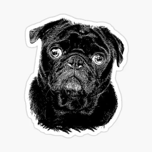 

Pug Irkı Type Dog Sticker Car Auto Bonding 17CM N1