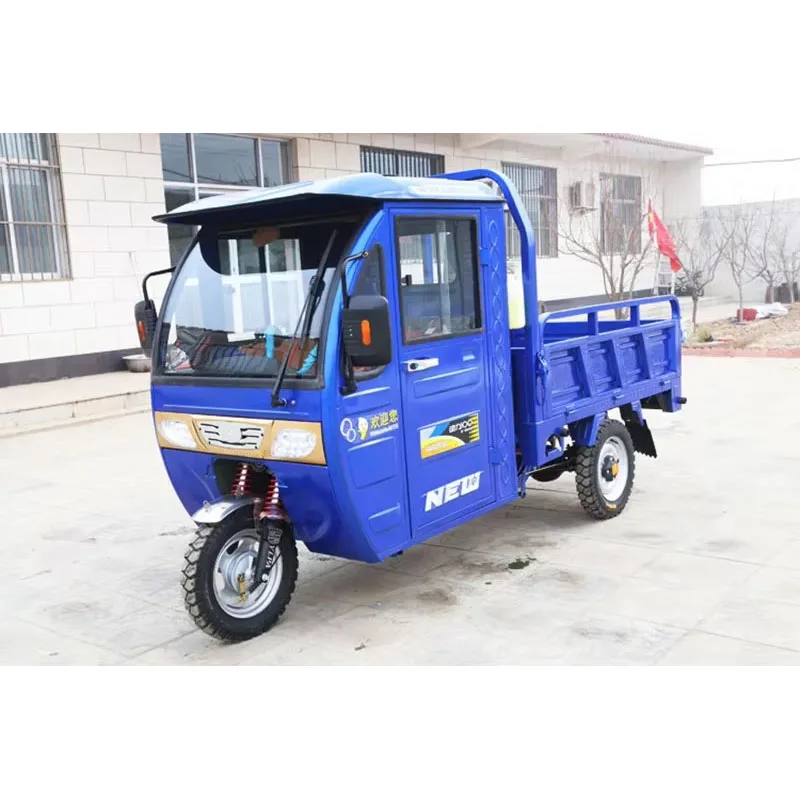 Motorcycles Electric Bicycle Golf Carts Tricycle Fast Charger Electric Battery Vehicle Three Wheels Mini Car moto eletrica aduto