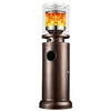 Winter Room Vegetation Outdoor Restaurant Courtyard Natural Gas Liquefied Gas Water Patio Heater 1
