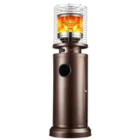 Winter Room Vegetation Outdoor Restaurant Courtyard Natural Gas Liquefied Gas Water Patio Heater 1