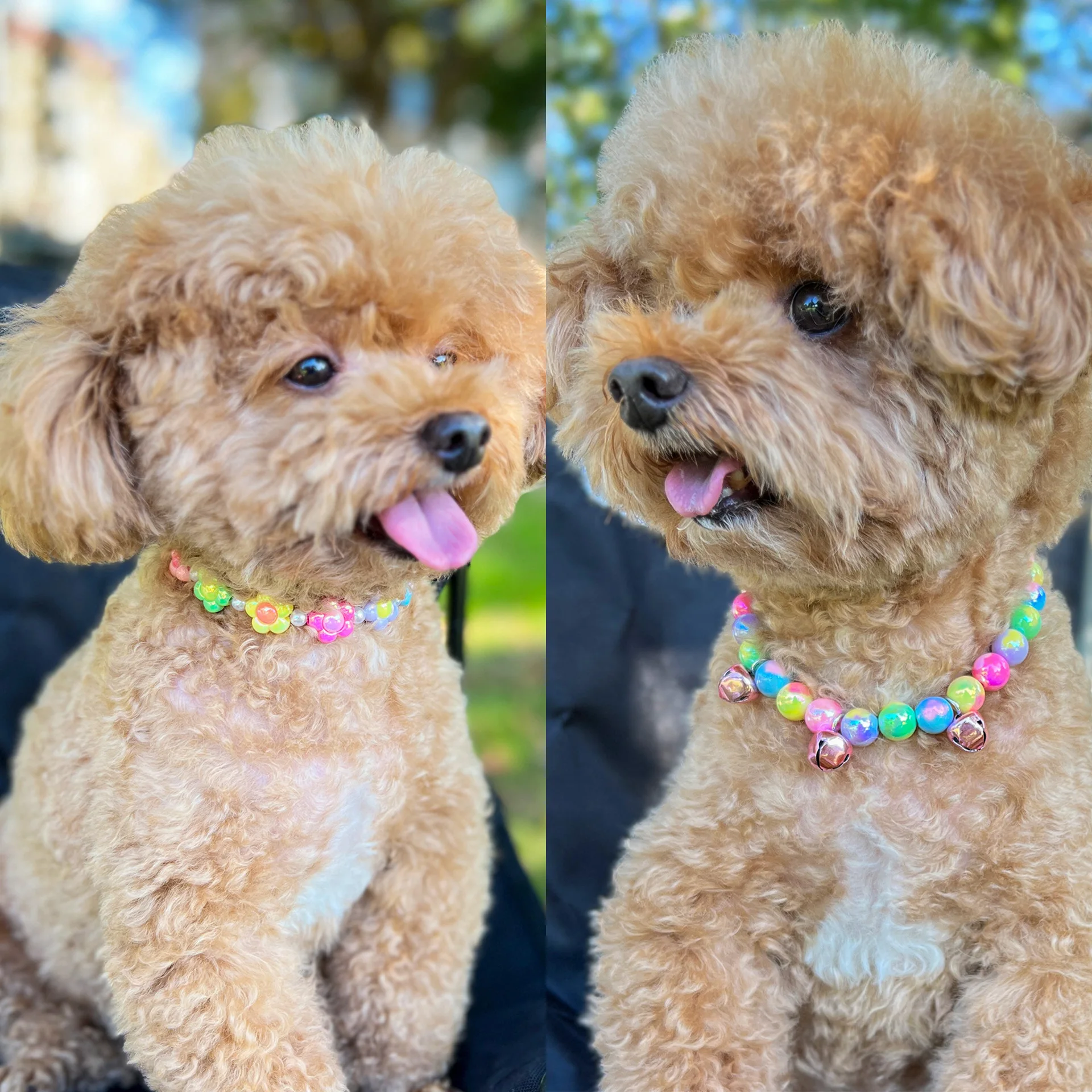 Charming Candy-Colored Pearl & Flower Bead Pet Necklace with Adjustable Alloy Chain