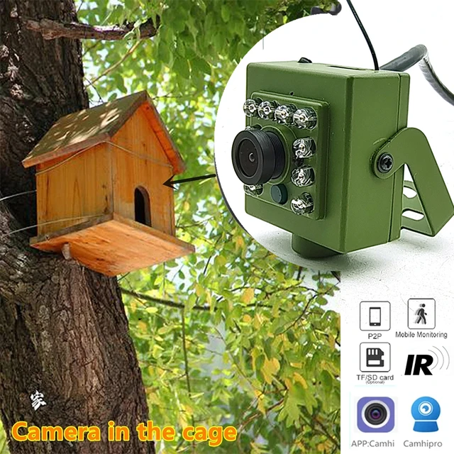 Camhi-Caméra IP sans fil WiFi Bird Box, 2MP, 5MP, IMX335 IMX307 HD, audio  vidéo 940nm IR, vision nocturne, nichoir, kits RTSP - AliExpress