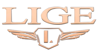 LIGE Smartwatch Dropshipping Store Store