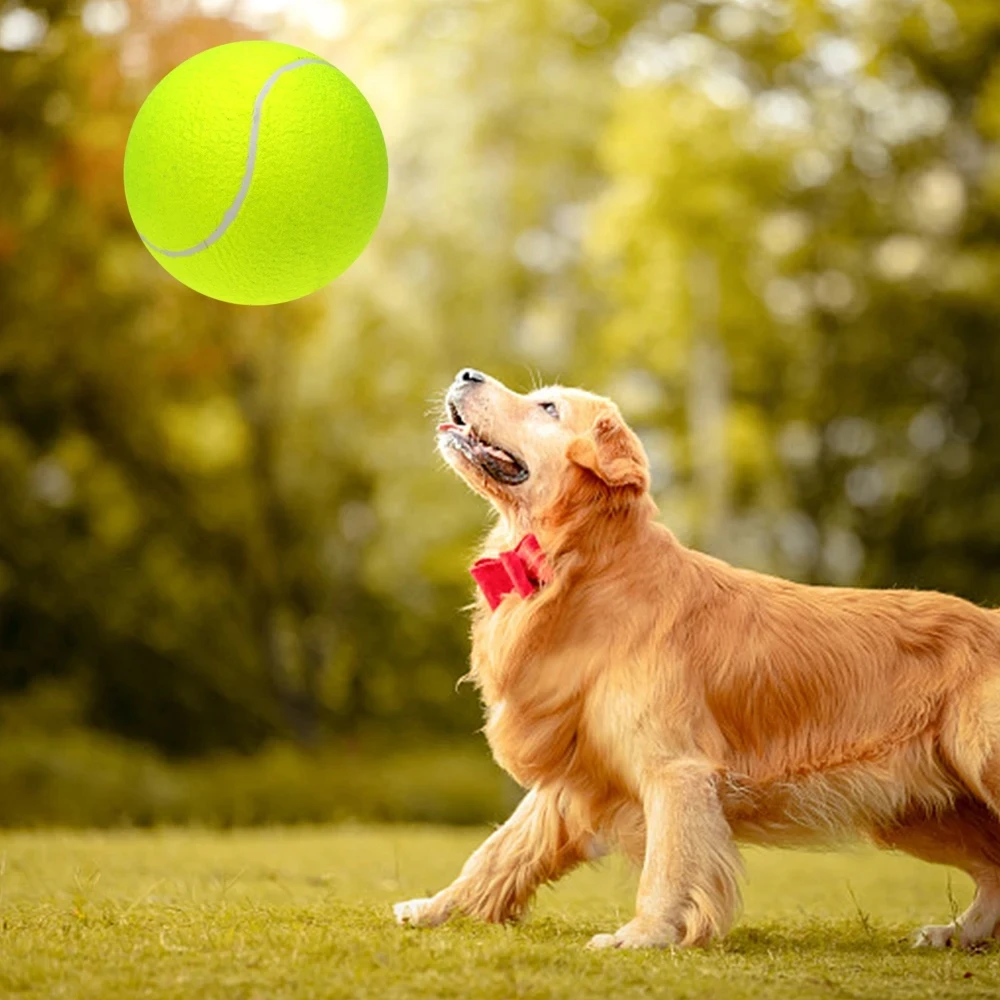 Bite-Resistant Tennis Balls for Dogs, Training Product, Pet Supplies, Puppy, Teddy