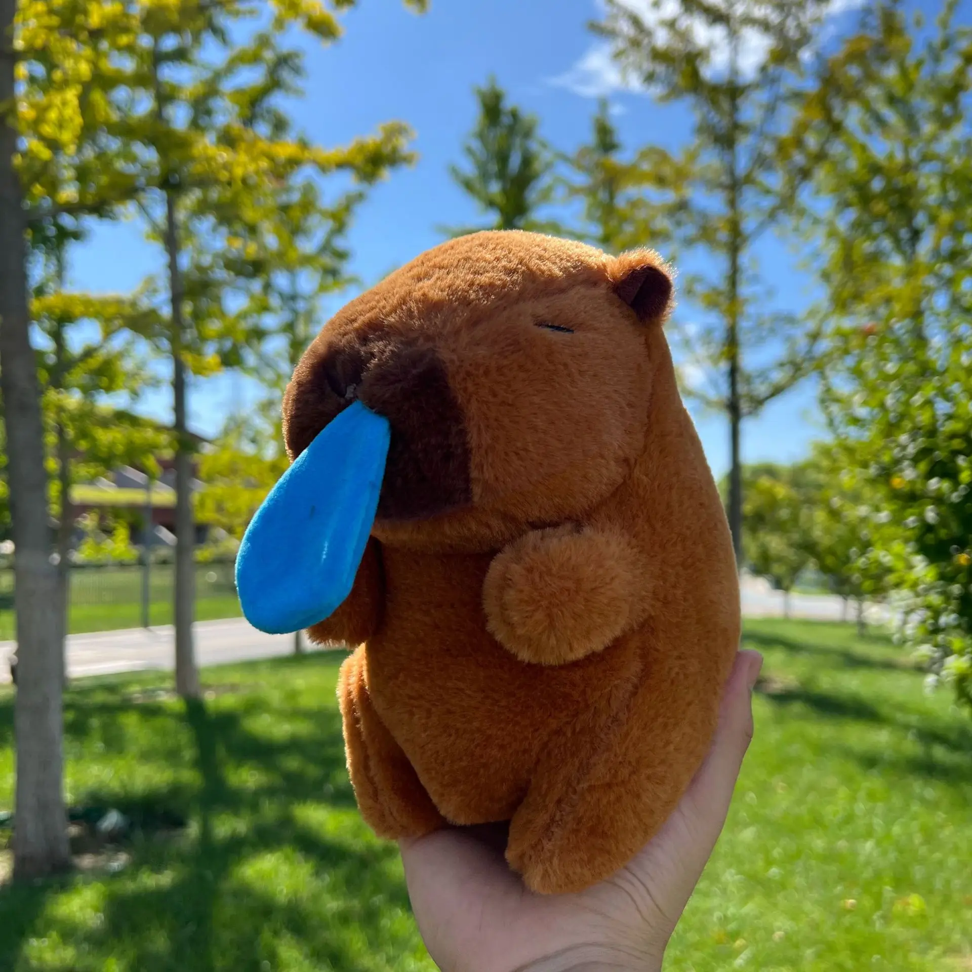 21cm Capybara Plush Toy 5
