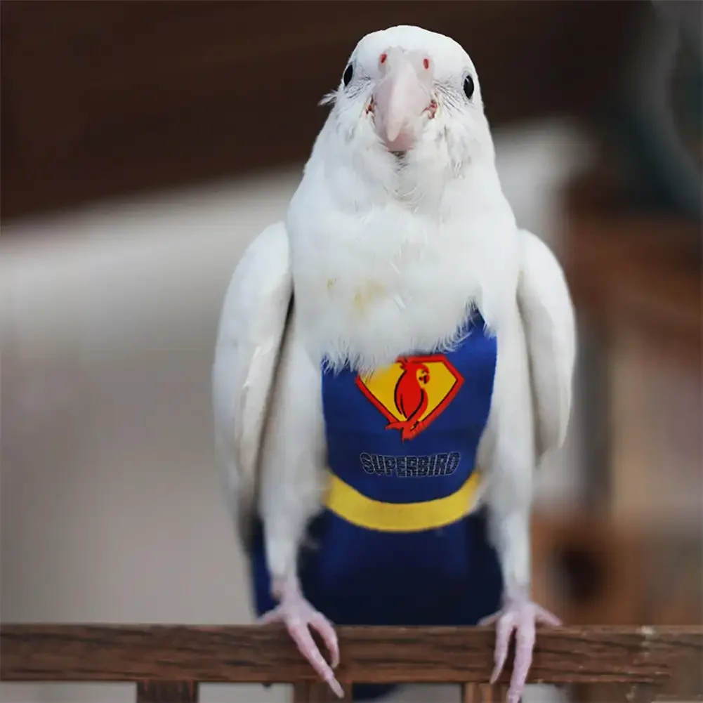Parrot Diaper Cute Bird Physiological Diaper Cockatiel Pigeons Small Medium Large Pet Birds Flight Suit Clothes Nappy Washable - Image 2