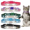 Personalized ID Cat Safety Buckle Puppy Collar Adjustable Custom Nameplate Free Engraving Stainless Steel Nylon Kittens Necklace 1