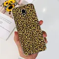 Case-c27