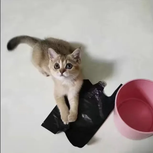 Sacchetti Per Lettiera Gatto - 2 Pezzi Per Scooper, Compatibili Con Catlink, Ideali Per Pulizia Igienica - Foto 2