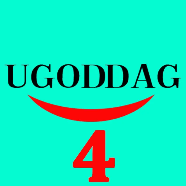 UGODDAG Adapter 4 Store