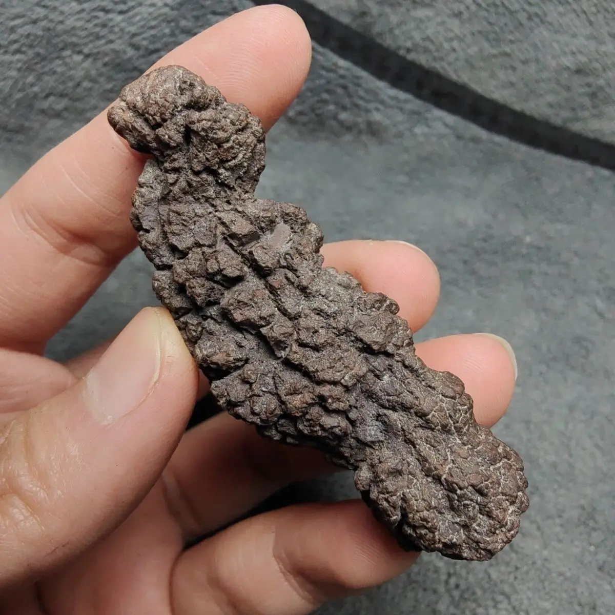 Premium 1000g Fossilized Dinosaur Coprolite Specimen from Madagascar