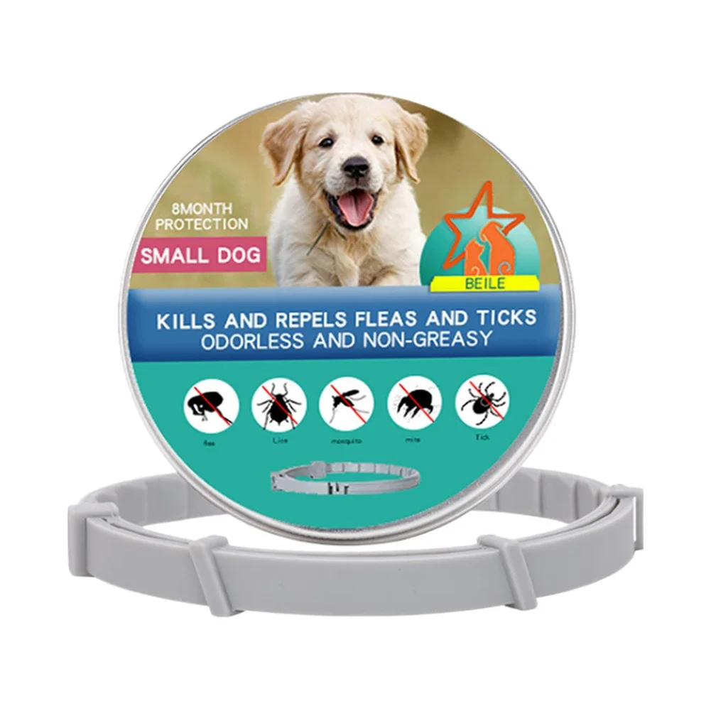 small dog 38cm Boxed
