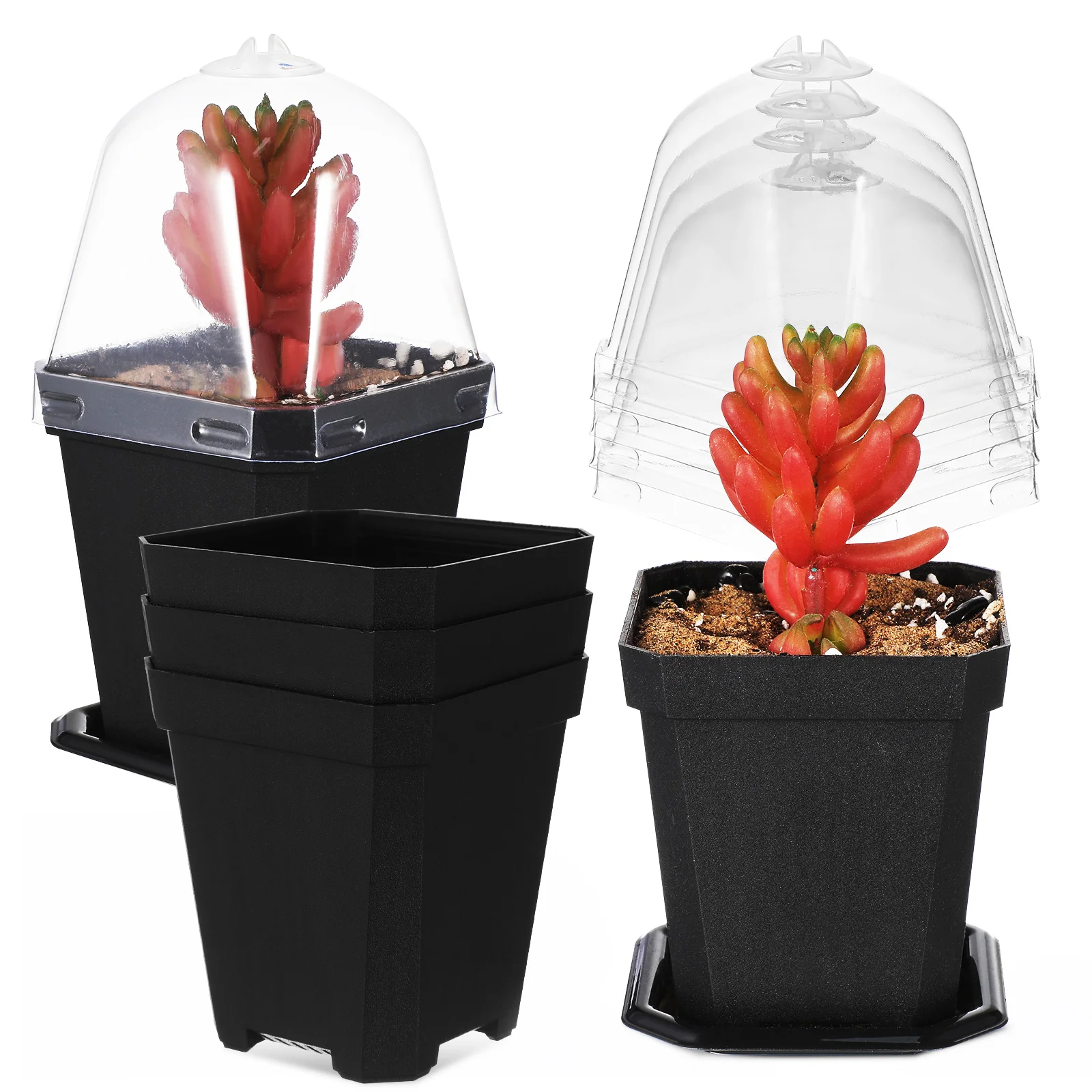 

5 Pcs Succulent Small Flowerpot Pots for Plants Indoor Thicken With Holes Nursery Plastic Peat