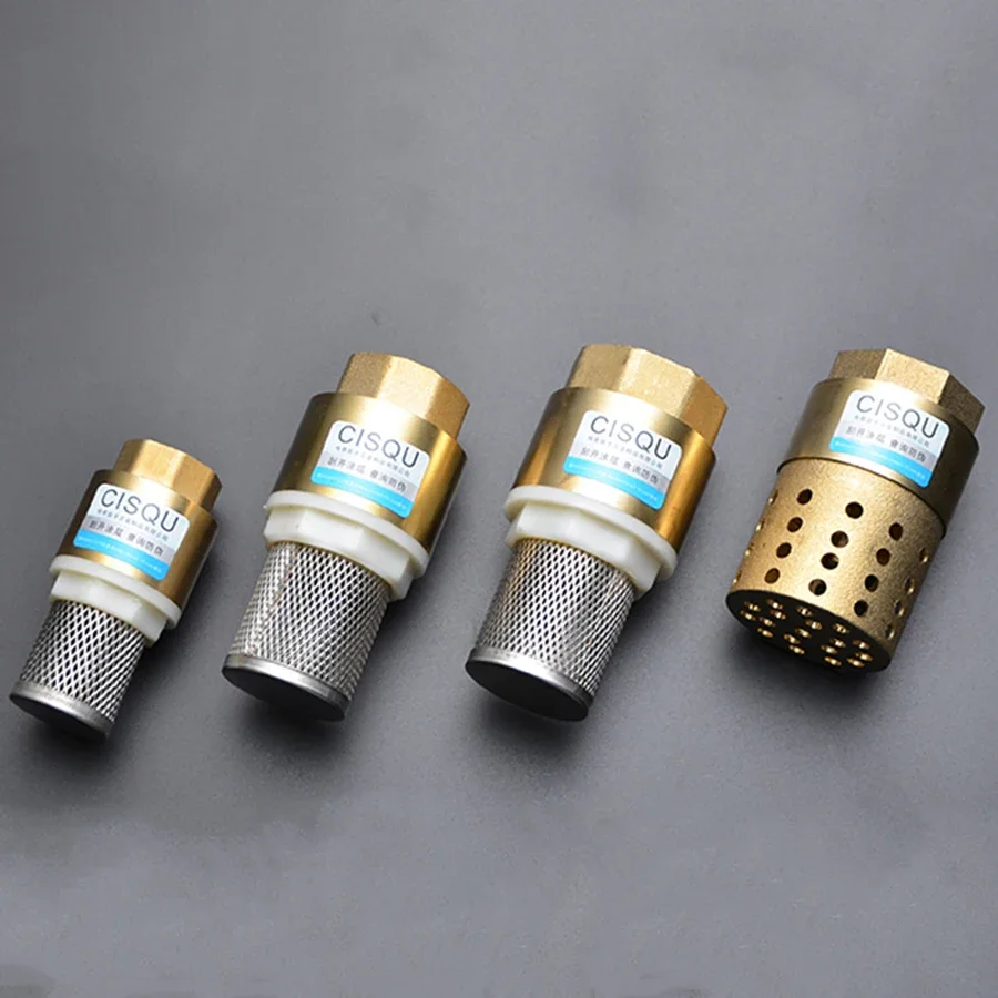 Valvola Di Ritegno In Ottone Nichelato 1/2 3/4 1 BSP – 2 Pezzi Filetto Maschio/Femmina Per Pompe E Scaldabagno - 5